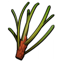 Pine Needle